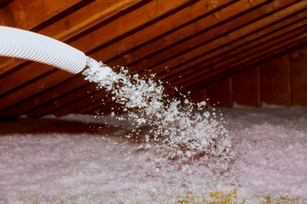 Best Energy Efficiency Solutions in Buchanan Dam, TX